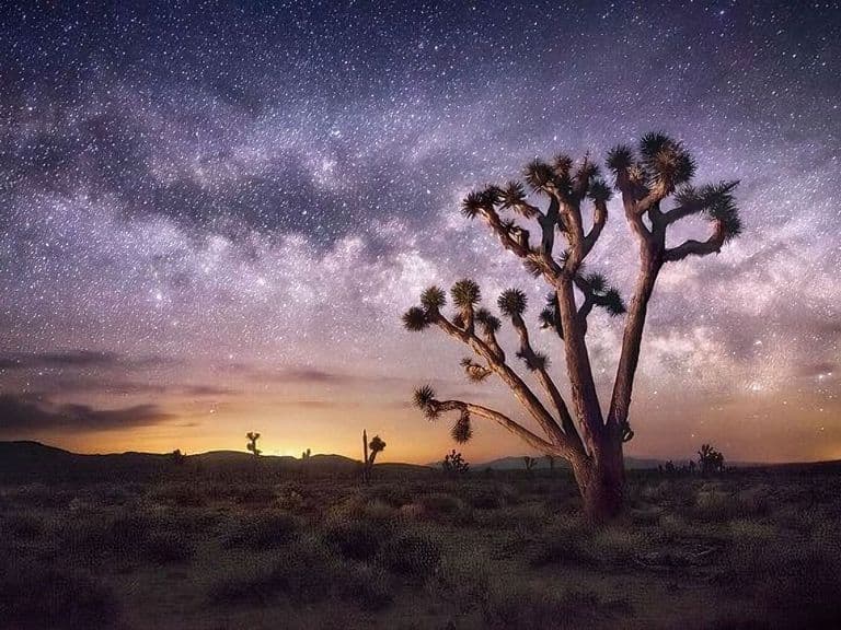 Joshua Tree, Park photo